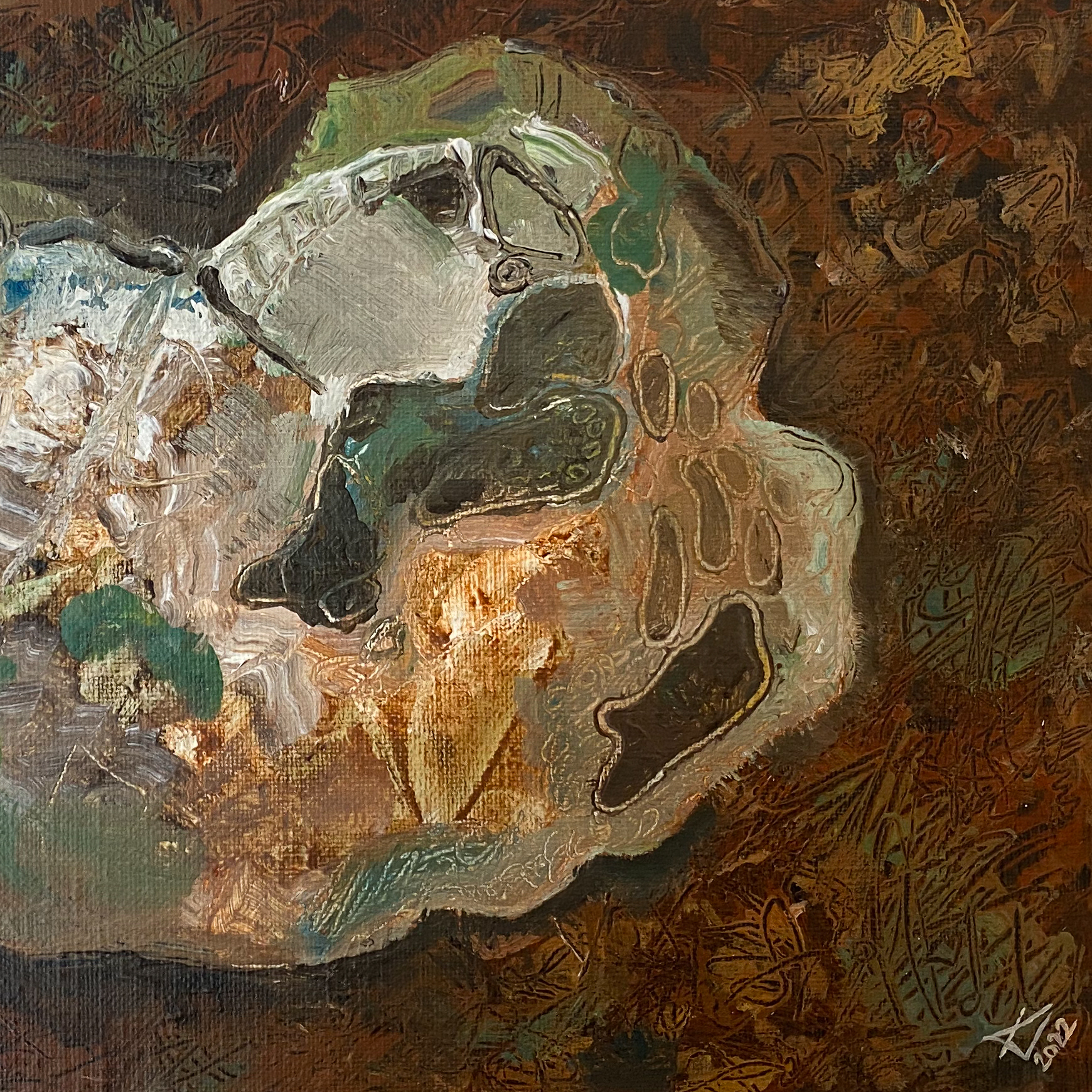 "Støvbold" (Jordbunden)